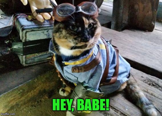 Fallout RayCat | HEY, BABE! | image tagged in fallout raycat | made w/ Imgflip meme maker