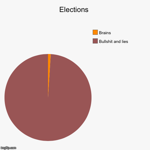 Politics why do they exist? | image tagged in funny,pie charts,election 2016,2016 election | made w/ Imgflip chart maker