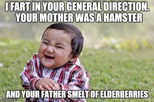 Evil Toddler Meme | I FART IN YOUR GENERAL DIRECTION.  YOUR MOTHER WAS A HAMSTER AND YOUR FATHER SMELT OF ELDERBERRIES | image tagged in memes,evil toddler | made w/ Imgflip meme maker