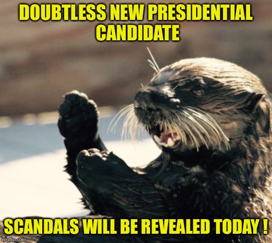 Keep Up Your Enthusiasm | DOUBTLESS NEW PRESIDENTIAL CANDIDATE; SCANDALS WILL BE REVEALED TODAY ! | image tagged in oregon sea otter | made w/ Imgflip meme maker