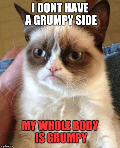 Grumpy Cat Meme | I DONT HAVE A GRUMPY SIDE MY WHOLE BODY IS GRUMPY | image tagged in memes,grumpy cat | made w/ Imgflip meme maker