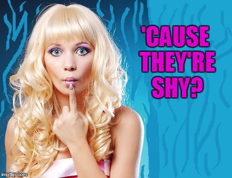 ditzy blonde | 'CAUSE THEY'RE SHY? | image tagged in ditzy blonde | made w/ Imgflip meme maker