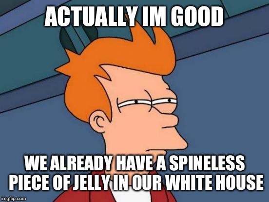 Futurama Fry Meme | ACTUALLY IM GOOD WE ALREADY HAVE A SPINELESS PIECE OF JELLY IN OUR WHITE HOUSE | image tagged in memes,futurama fry | made w/ Imgflip meme maker