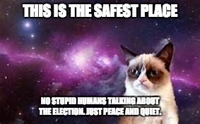 galaxy grumpy cat | THIS IS THE SAFEST PLACE; NO STUPID HUMANS TALKING ABOUT THE ELECTION. JUST PEACE AND QUIET. | image tagged in galaxy grumpy cat | made w/ Imgflip meme maker