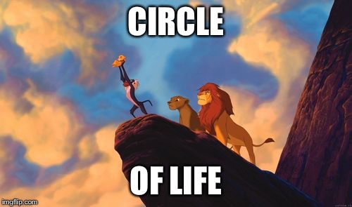 circle of life | CIRCLE; OF LIFE | image tagged in circle of life | made w/ Imgflip meme maker