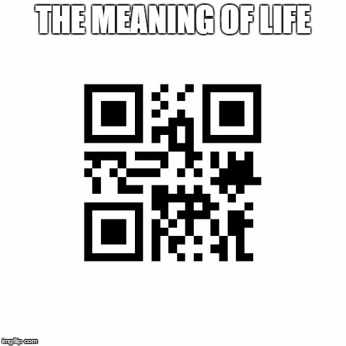 The meaning of life | THE MEANING OF LIFE | image tagged in life,gotcha | made w/ Imgflip meme maker