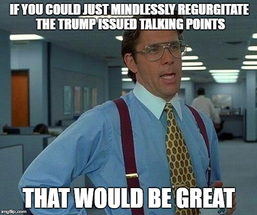 That Would Be Great Meme | IF YOU COULD JUST MINDLESSLY REGURGITATE THE TRUMP ISSUED TALKING POINTS; THAT WOULD BE GREAT | image tagged in memes,that would be great | made w/ Imgflip meme maker