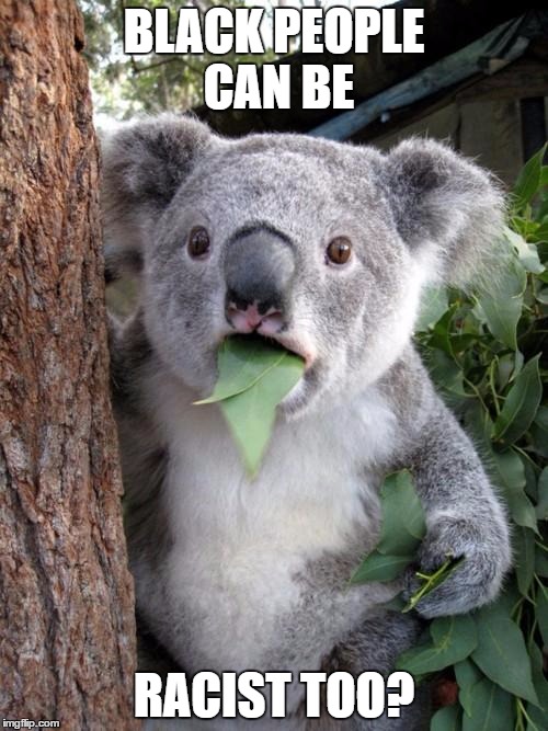 What!? |  BLACK PEOPLE CAN BE; RACIST TOO? | image tagged in memes,surprised koala | made w/ Imgflip meme maker