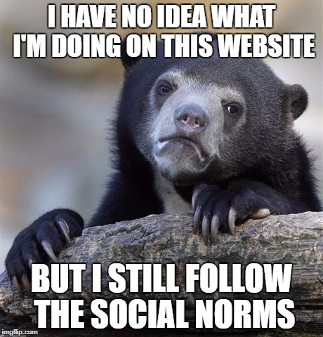 Confession Bear Meme | I HAVE NO IDEA WHAT I'M DOING ON THIS WEBSITE BUT I STILL FOLLOW THE SOCIAL NORMS | image tagged in memes,confession bear | made w/ Imgflip meme maker