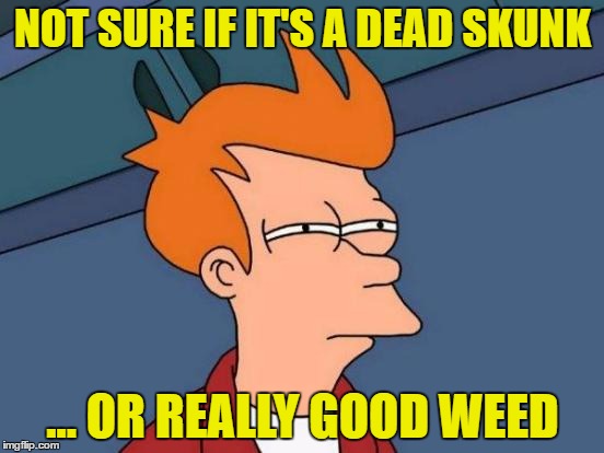 Futurama Fry | NOT SURE IF IT'S A DEAD SKUNK; ... OR REALLY GOOD WEED | image tagged in memes,futurama fry,weed,legalize weed,smoke weed everyday,space weed | made w/ Imgflip meme maker
