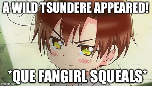 Overprotective! Hetalia Rimano  | A WILD TSUNDERE APPEARED! *QUE FANGIRL SQUEALS* | image tagged in overprotective hetalia rimano | made w/ Imgflip meme maker