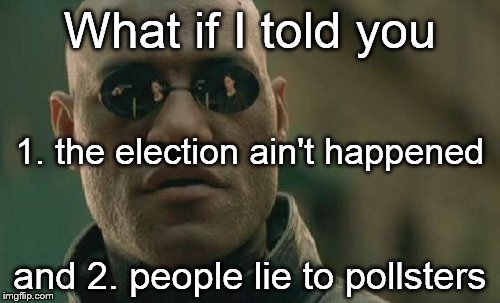 Matrix Morpheus Meme | What if I told you and 2. people lie to pollsters 1. the election ain't happened | image tagged in memes,matrix morpheus | made w/ Imgflip meme maker