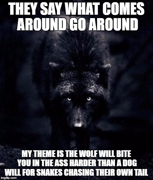 Black Wolf | THEY SAY WHAT COMES AROUND GO AROUND; MY THEME IS THE WOLF WILL BITE YOU IN THE ASS HARDER THAN A DOG WILL FOR SNAKES CHASING THEIR OWN TAIL | image tagged in black wolf | made w/ Imgflip meme maker