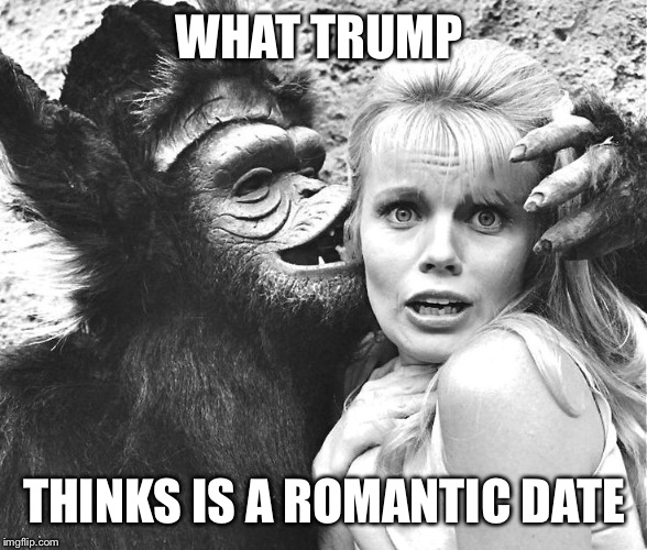 Trump Bad Date  | WHAT TRUMP; THINKS IS A ROMANTIC DATE | image tagged in donald trump | made w/ Imgflip meme maker