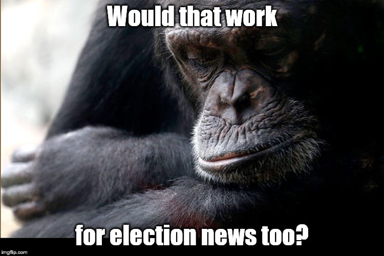 Koko | Would that work for election news too? | image tagged in koko | made w/ Imgflip meme maker