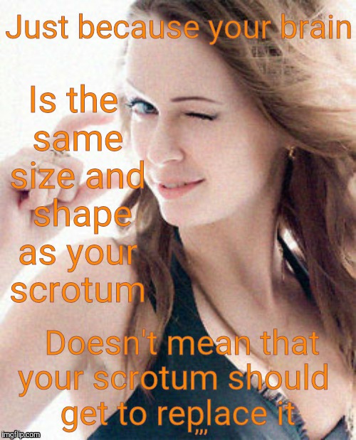 Just because your brain is the same size and shape as your scrotum doesn't mean that your scrotum should get to replace it,,, | Is the same size and  shape as your scrotum; ,,, | image tagged in meme | made w/ Imgflip meme maker