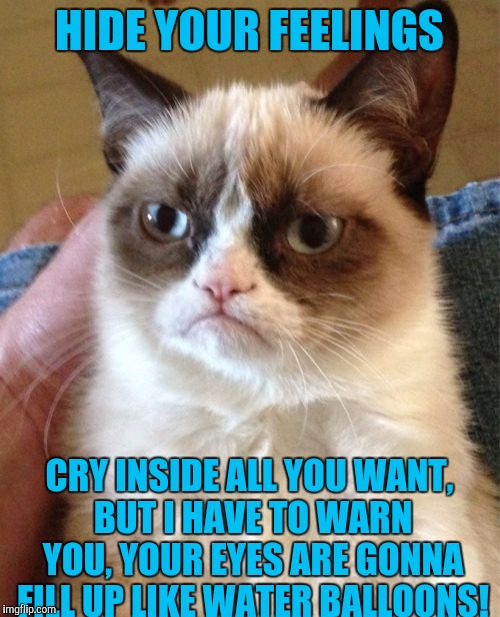 Grumpy Cat | HIDE YOUR FEELINGS; CRY INSIDE ALL YOU WANT, BUT I HAVE TO WARN YOU, YOUR EYES ARE GONNA FILL UP LIKE WATER BALLOONS! | image tagged in memes,grumpy cat | made w/ Imgflip meme maker