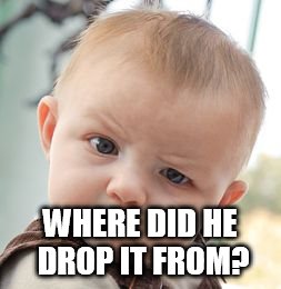 Skeptical Baby Meme | WHERE DID HE DROP IT FROM? | image tagged in memes,skeptical baby | made w/ Imgflip meme maker