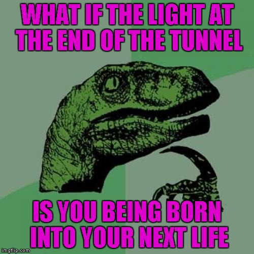 Do you believe in reincarnation? | WHAT IF THE LIGHT AT THE END OF THE TUNNEL; IS YOU BEING BORN INTO YOUR NEXT LIFE | image tagged in memes,philosoraptor | made w/ Imgflip meme maker