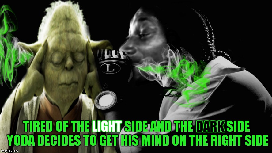 The dank is strong with Snoop Dogg | TIRED OF THE LIGHT SIDE AND THE DARK SIDE YODA DECIDES TO GET HIS MIND ON THE RIGHT SIDE; LIGHT; DARK | image tagged in yoda,snoop dogg,light,dark,who cares | made w/ Imgflip meme maker