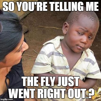 Third World Skeptical Kid Meme | SO YOU'RE TELLING ME THE FLY JUST WENT RIGHT OUT ? | image tagged in memes,third world skeptical kid | made w/ Imgflip meme maker