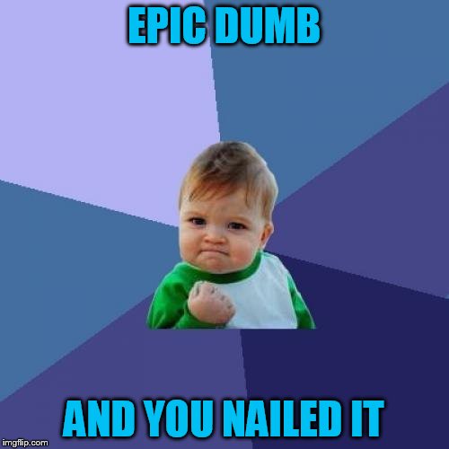 Success Kid Meme | EPIC DUMB AND YOU NAILED IT | image tagged in memes,success kid | made w/ Imgflip meme maker