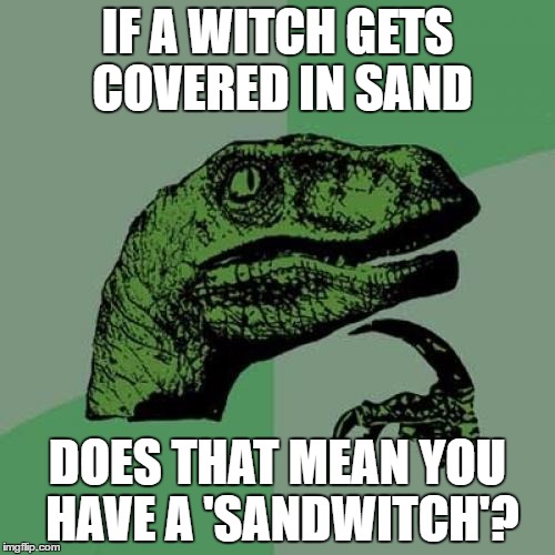 Philosoraptor | IF A WITCH GETS COVERED IN SAND; DOES THAT MEAN YOU HAVE A 'SANDWITCH'? | image tagged in memes,philosoraptor | made w/ Imgflip meme maker