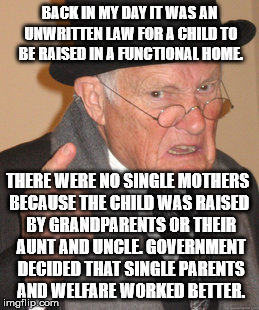 Back In My Day Meme | BACK IN MY DAY IT WAS AN UNWRITTEN LAW FOR A CHILD TO BE RAISED IN A FUNCTIONAL HOME. BY GRANDPARENTS OR THEIR AUNT AND UNCLE. GOVERNMENT DE | image tagged in memes,back in my day | made w/ Imgflip meme maker