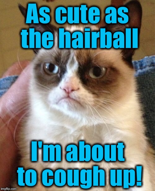 Grumpy Cat Meme | As cute as the hairball I'm about to cough up! | image tagged in memes,grumpy cat | made w/ Imgflip meme maker