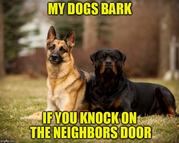 MY DOGS BARK IF YOU KNOCK ON THE NEIGHBORS DOOR | made w/ Imgflip meme maker