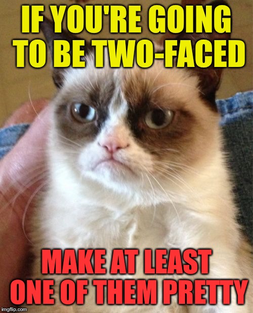 Grumpy Cat Meme | IF YOU'RE GOING TO BE TWO-FACED; MAKE AT LEAST ONE OF THEM PRETTY | image tagged in memes,grumpy cat | made w/ Imgflip meme maker