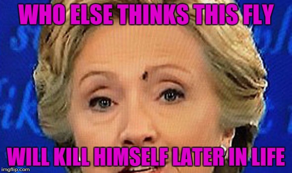 Hillary's pet fly | WHO ELSE THINKS THIS FLY; WILL KILL HIMSELF LATER IN LIFE | image tagged in fly,hillary clinton,death,funny,memes,funny memes | made w/ Imgflip meme maker