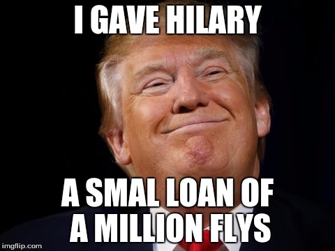 I GAVE HILARY; A SMAL LOAN OF A MILLION FLYS | image tagged in election 2016,donald trump,trump 2016,president 2016,2016 election,trump | made w/ Imgflip meme maker