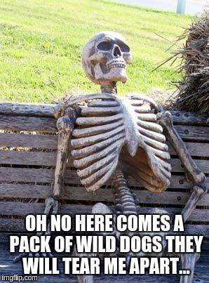 Waiting Skeleton | OH NO HERE COMES A PACK OF WILD DOGS THEY WILL TEAR ME APART... | image tagged in memes,waiting skeleton | made w/ Imgflip meme maker