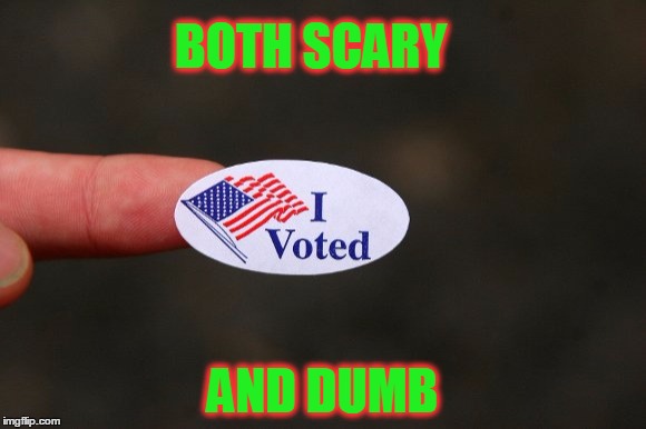 I Voted Today | BOTH SCARY; AND DUMB | image tagged in meme,vote,who the hell do you vote for,hillary clinton,donald trump,it's very important to vote | made w/ Imgflip meme maker