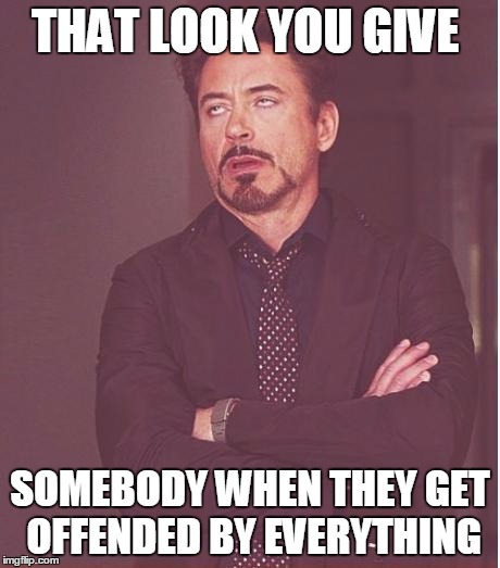Face You Make Robert Downey Jr Meme | THAT LOOK YOU GIVE; SOMEBODY WHEN THEY GET OFFENDED BY EVERYTHING | image tagged in memes,face you make robert downey jr | made w/ Imgflip meme maker