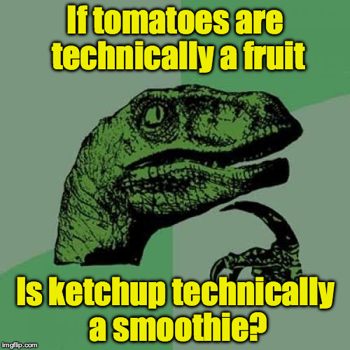 Philosoraptor Meme | If tomatoes are technically a fruit; Is ketchup technically a smoothie? | image tagged in memes,philosoraptor | made w/ Imgflip meme maker