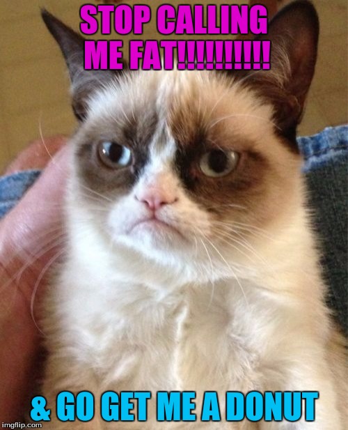 Grumpy Cat | STOP CALLING ME FAT!!!!!!!!!! & GO GET ME A DONUT | image tagged in memes,grumpy cat | made w/ Imgflip meme maker