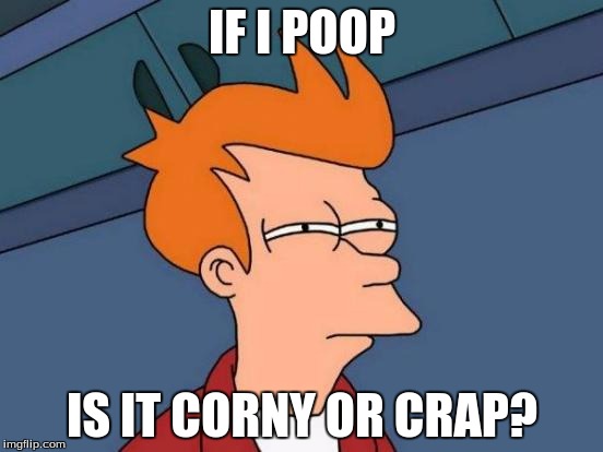 Futurama Fry | IF I POOP; IS IT CORNY OR CRAP? | image tagged in memes,futurama fry | made w/ Imgflip meme maker