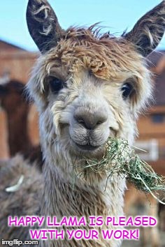 happy llama | HAPPY LLAMA IS PLEASED WITH YOUR WORK! | image tagged in happy llama | made w/ Imgflip meme maker