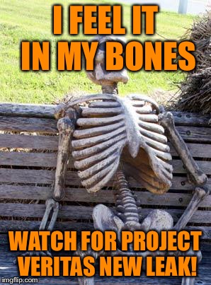 Waiting Skeleton Meme | I FEEL IT IN MY BONES WATCH FOR PROJECT VERITAS NEW LEAK! | image tagged in memes,waiting skeleton | made w/ Imgflip meme maker