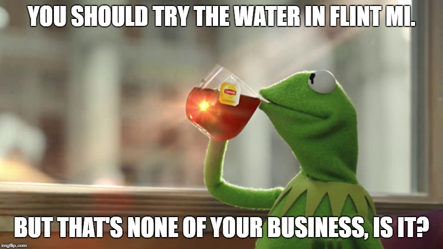 Frog Water | YOU SHOULD TRY THE WATER IN FLINT MI. BUT THAT'S NONE OF YOUR BUSINESS, IS IT? | image tagged in flint water | made w/ Imgflip meme maker