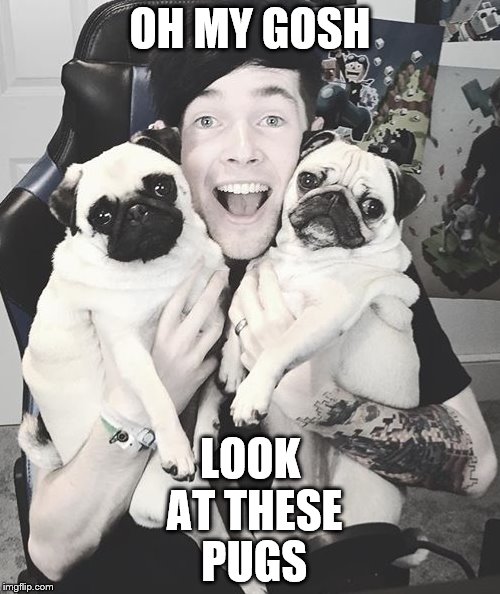 DanTDM and the pugs | OH MY GOSH; LOOK AT THESE PUGS | image tagged in dantdm and the pugs | made w/ Imgflip meme maker