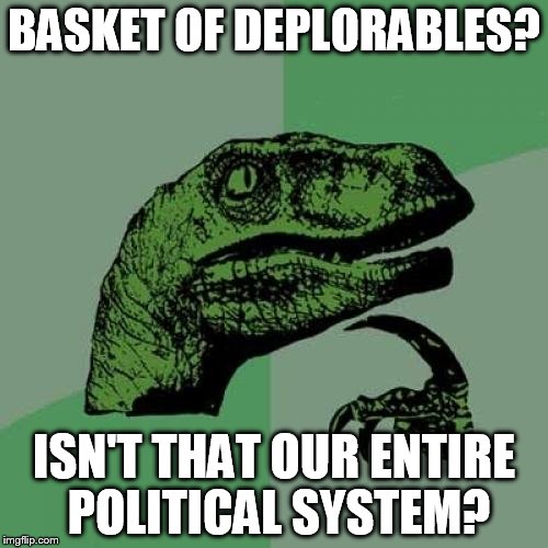 Basket of Deplorables | BASKET OF DEPLORABLES? ISN'T THAT OUR ENTIRE POLITICAL SYSTEM? | image tagged in memes,philosoraptor | made w/ Imgflip meme maker