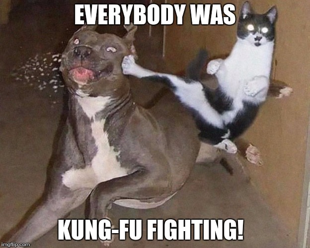 Cats & Dogs | EVERYBODY WAS; KUNG-FU FIGHTING! | image tagged in cats  dogs | made w/ Imgflip meme maker