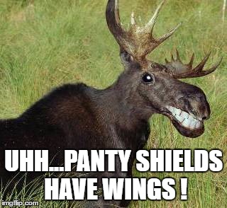 UHH...PANTY SHIELDS HAVE WINGS ! | made w/ Imgflip meme maker