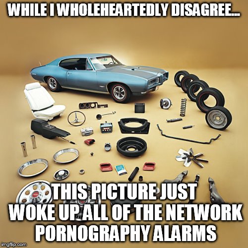 WHILE I WHOLEHEARTEDLY DISAGREE... THIS PICTURE JUST WOKE UP ALL OF THE NETWORK PORNOGRAPHY ALARMS | made w/ Imgflip meme maker