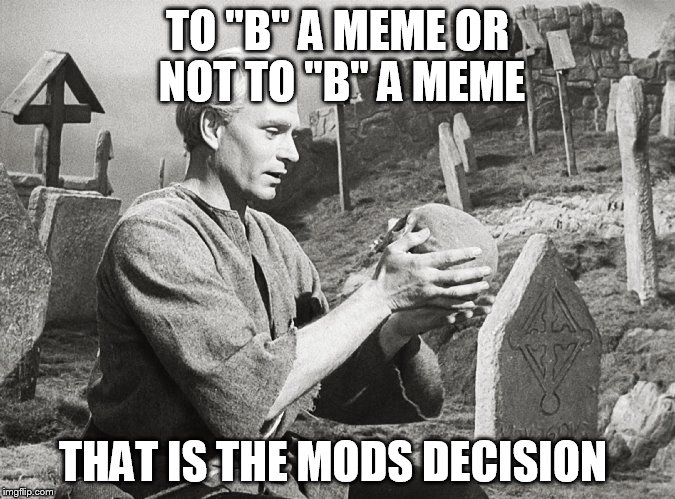 Hamlet | TO ''B'' A MEME OR NOT TO ''B'' A MEME THAT IS THE MODS DECISION | image tagged in hamlet | made w/ Imgflip meme maker