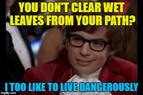 Thug Life | YOU DON'T CLEAR WET LEAVES FROM YOUR PATH? I TOO LIKE TO LIVE DANGEROUSLY | image tagged in memes,i too like to live dangerously,austin powers,films,autumn,fall | made w/ Imgflip meme maker