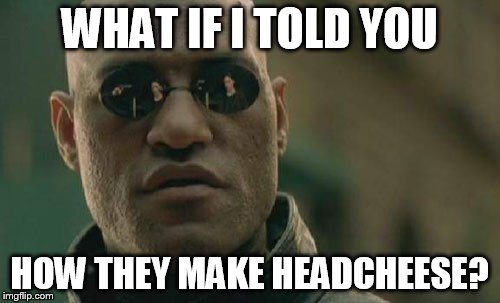 Matrix Morpheus Meme | WHAT IF I TOLD YOU HOW THEY MAKE HEADCHEESE? | image tagged in memes,matrix morpheus | made w/ Imgflip meme maker